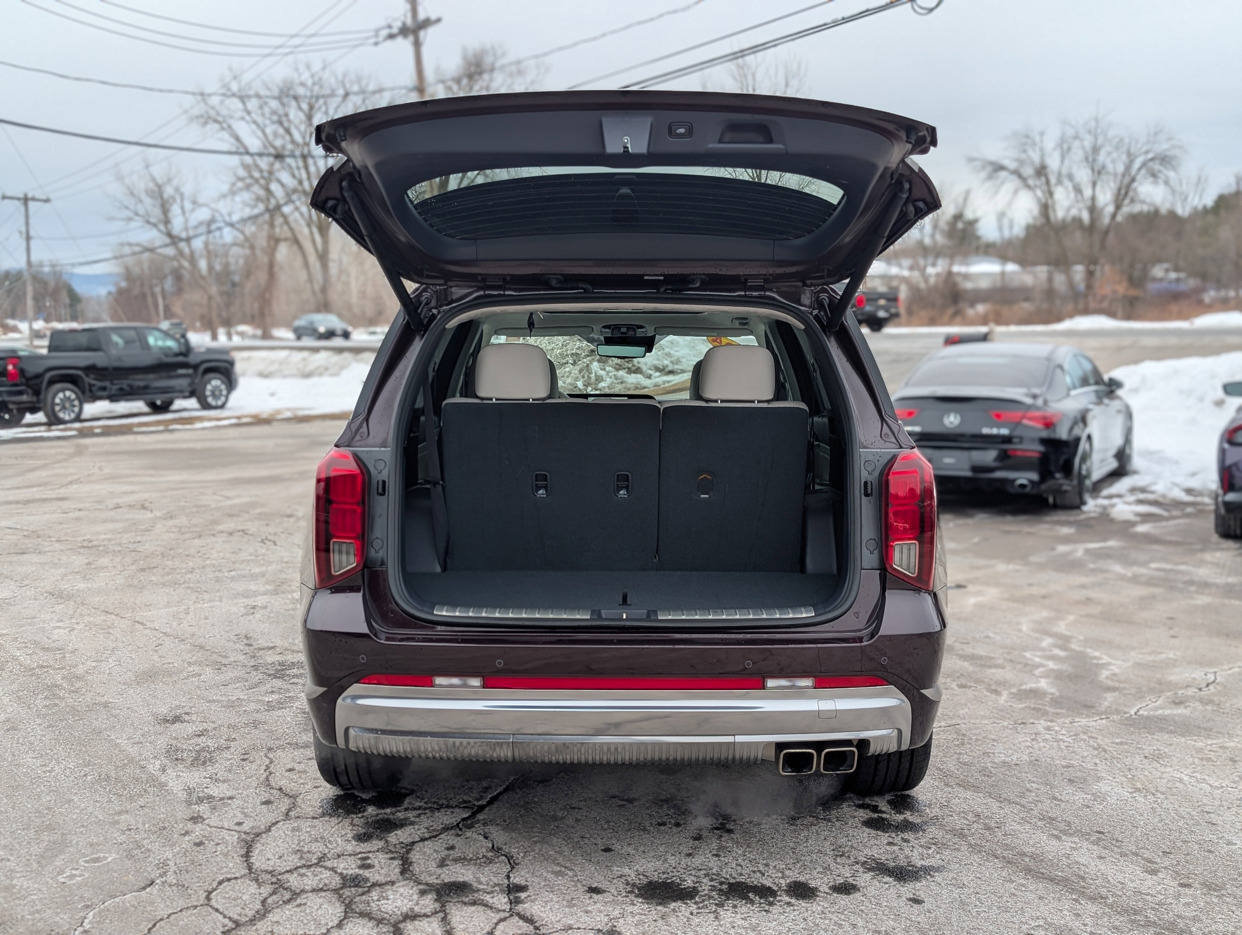 2024 Hyundai Palisade Calligraphy