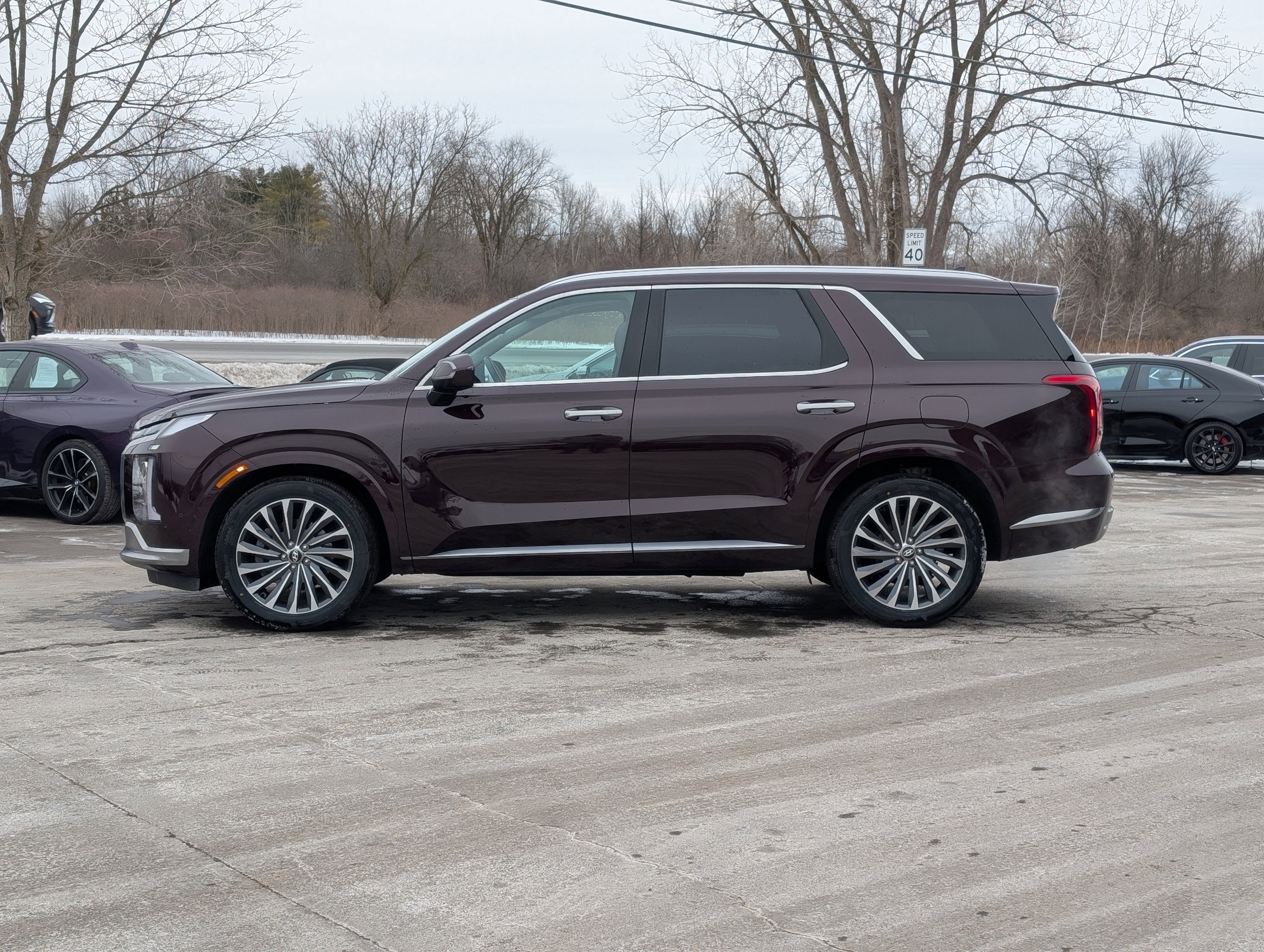 2024 Hyundai Palisade Calligraphy
